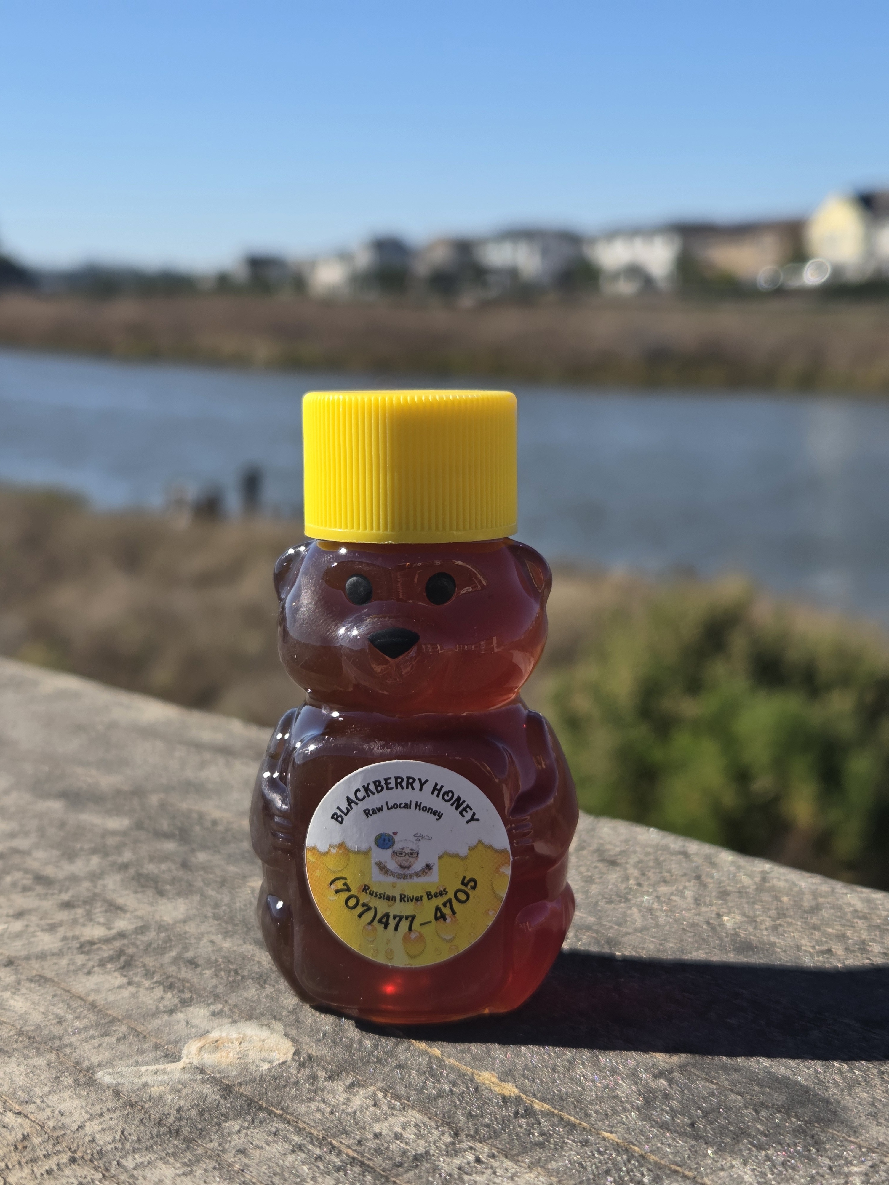 Little Bear